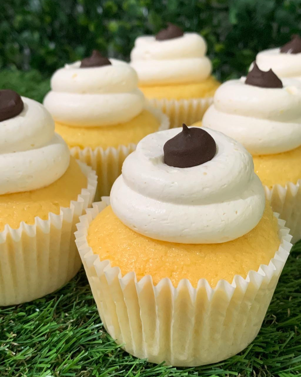 Boston cream cupcakes with vanilla sponge, whipped cream frosting and chocolate ganache centre, 150 calories each