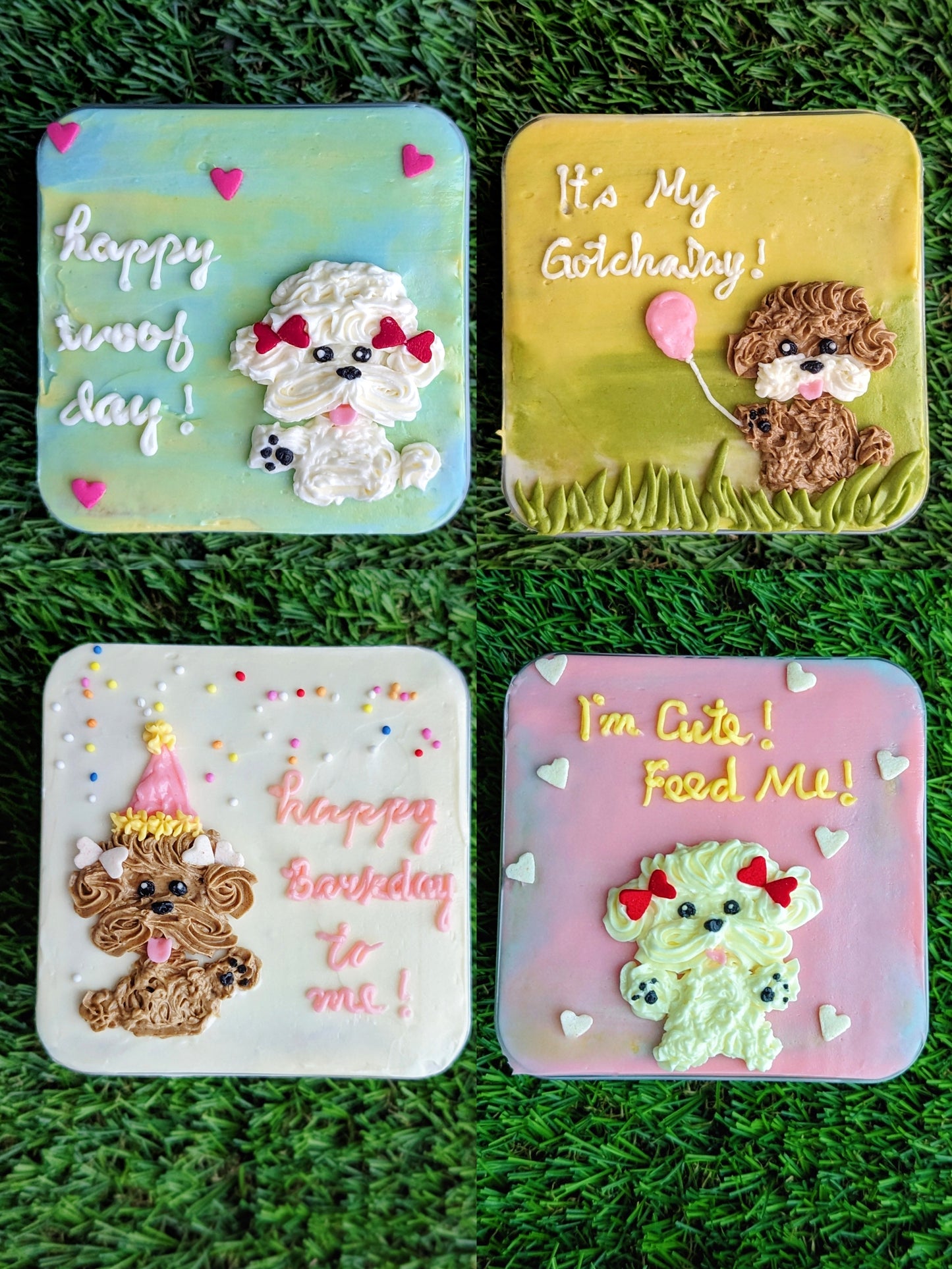 Floral bento boxed cakes with hand-piped buttercream flowers on pastel painted backgrounds, healthy low-sugar mini cakes Singapore