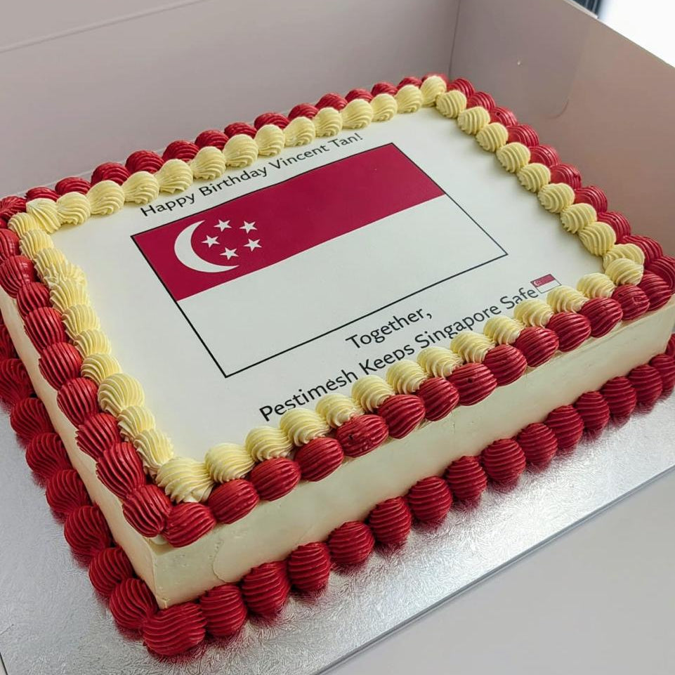 Rectangular red-and-white birthday cake featuring the Singapore flag, personalised for Vincent Tan with a Pestimesh message.