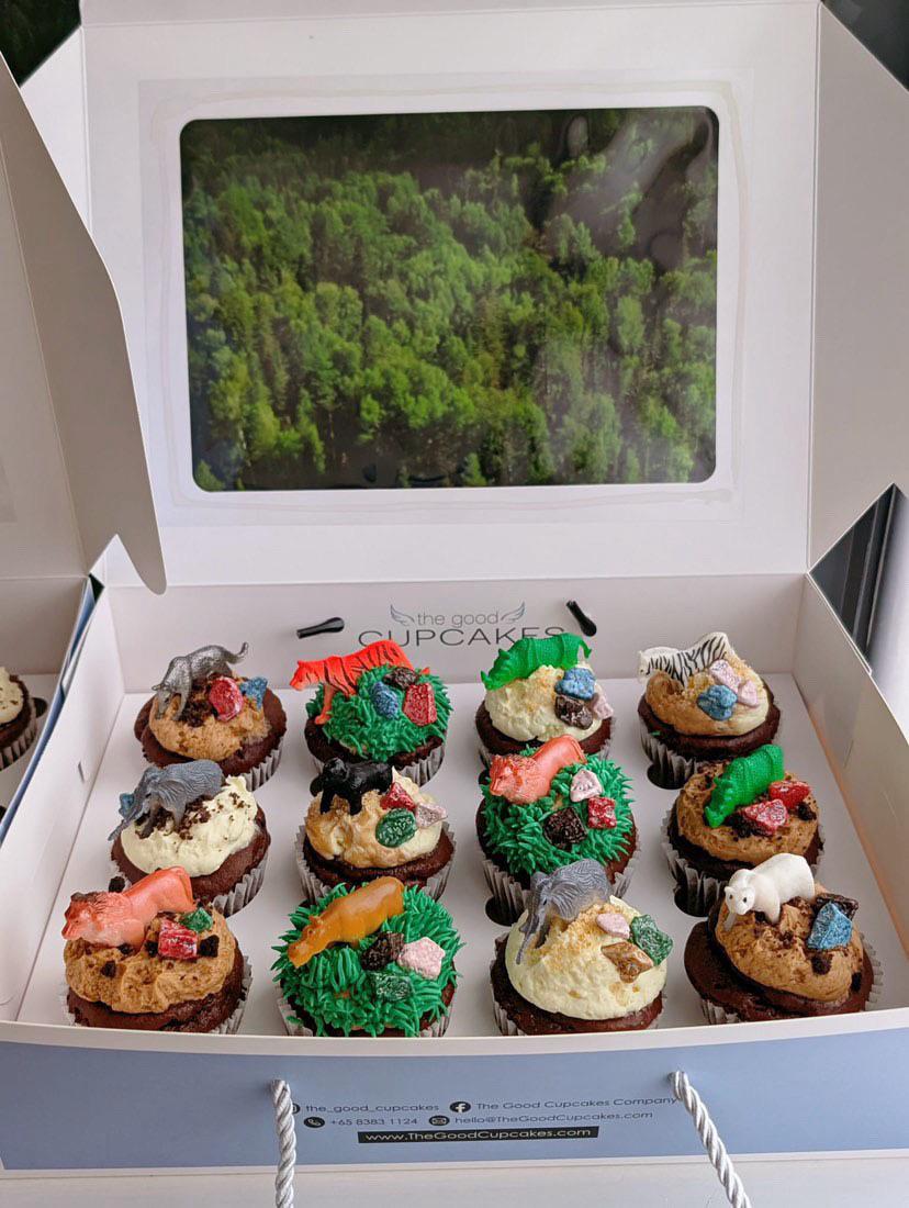 Safari-themed cupcakes with hand-piped animal designs, custom order, The Good Cupcakes Singapore