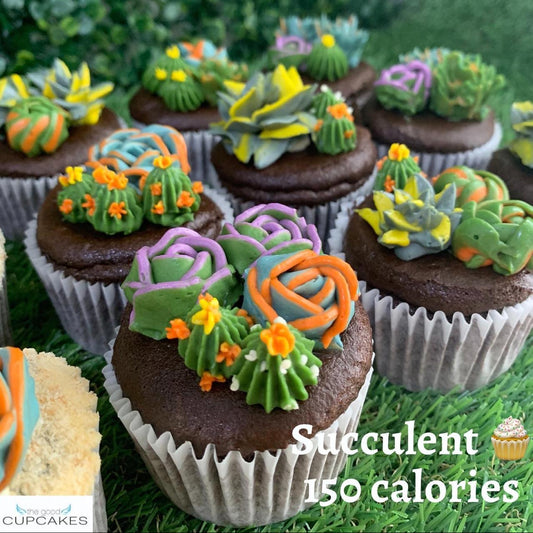 Box of succulent-shaped floral cupcakes in chocolate sponge, hand-piped cactus and rose buttercream — 150 calories each, The Good Cupcakes Singapore