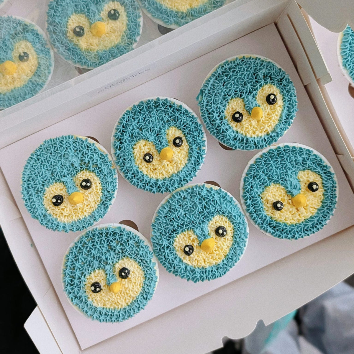 A white bakery box filled with round cupcakes decorated to look like penguins, with blue textured frosting bodies, yellow faces, and black-and-white beaks.